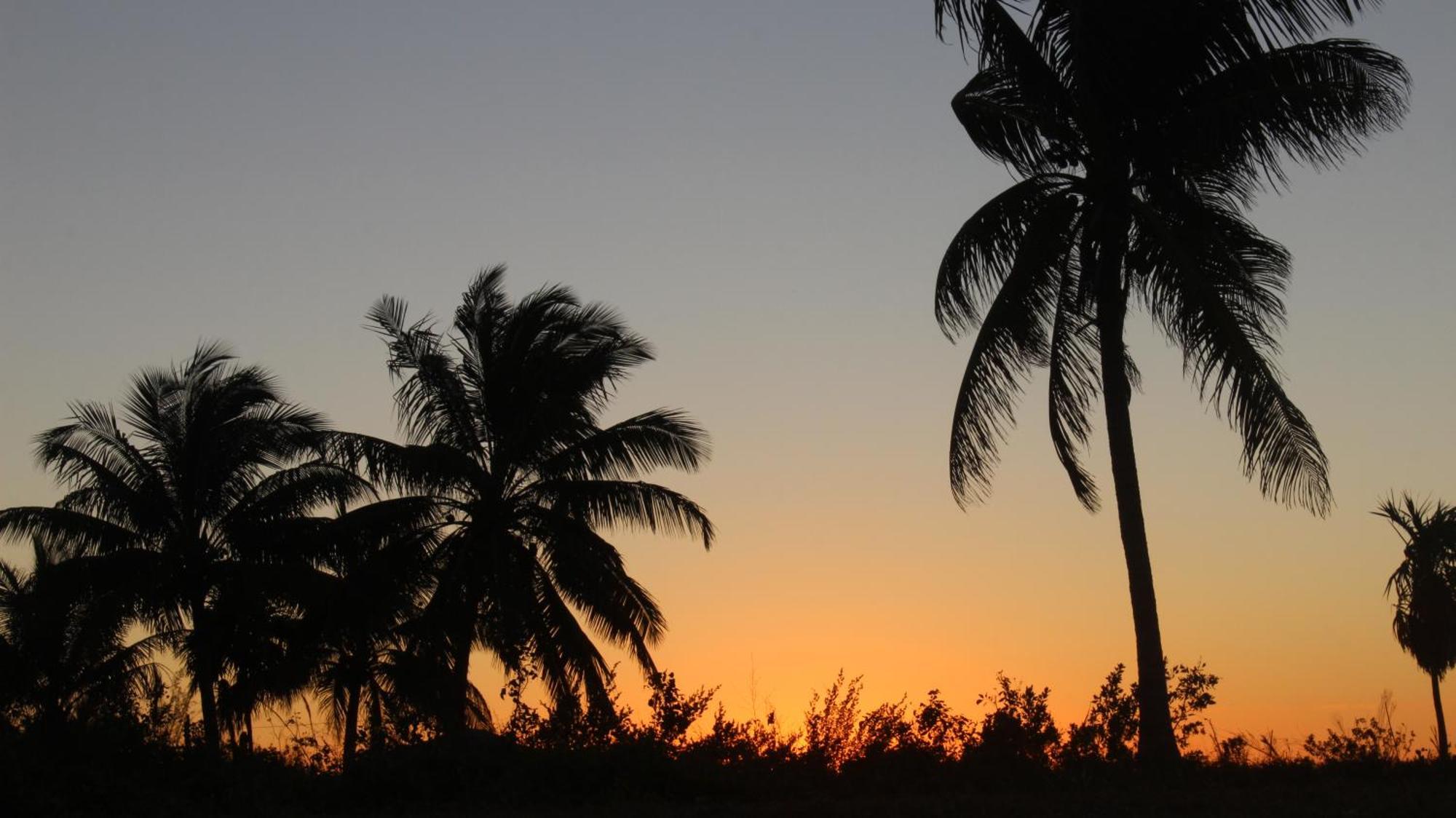 Ikarus Costa Mujeres Eco Lodge Sunset View Cancún Eksteriør bilde