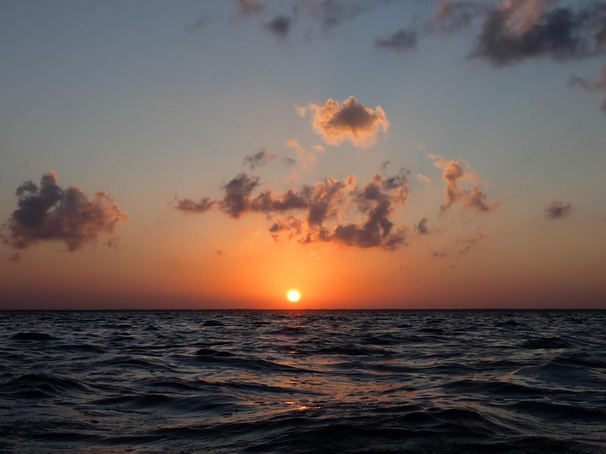 Ikarus Costa Mujeres Eco Lodge Sunset View Cancún Eksteriør bilde
