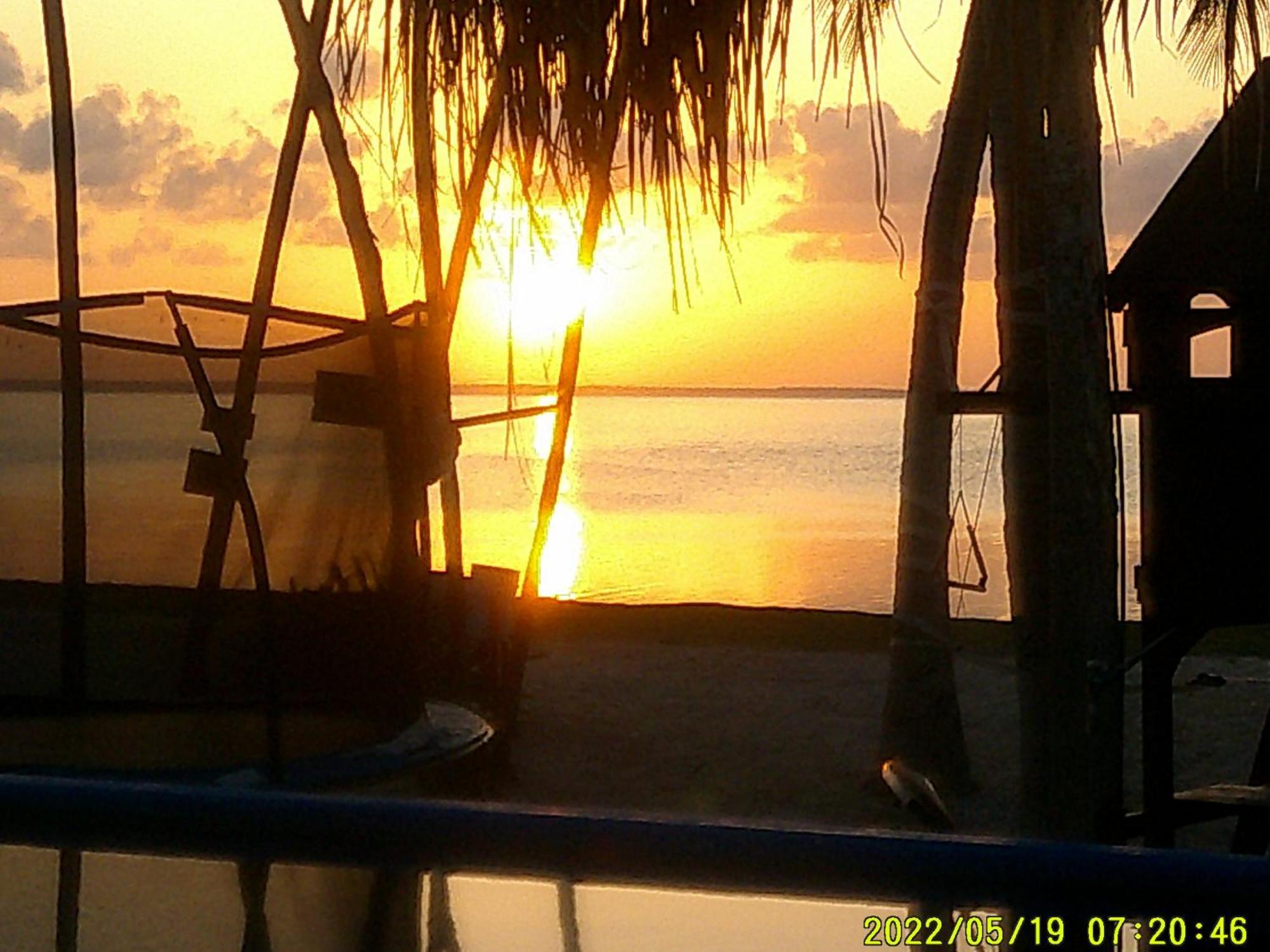 Ikarus Costa Mujeres Eco Lodge Sunset View Cancún Eksteriør bilde