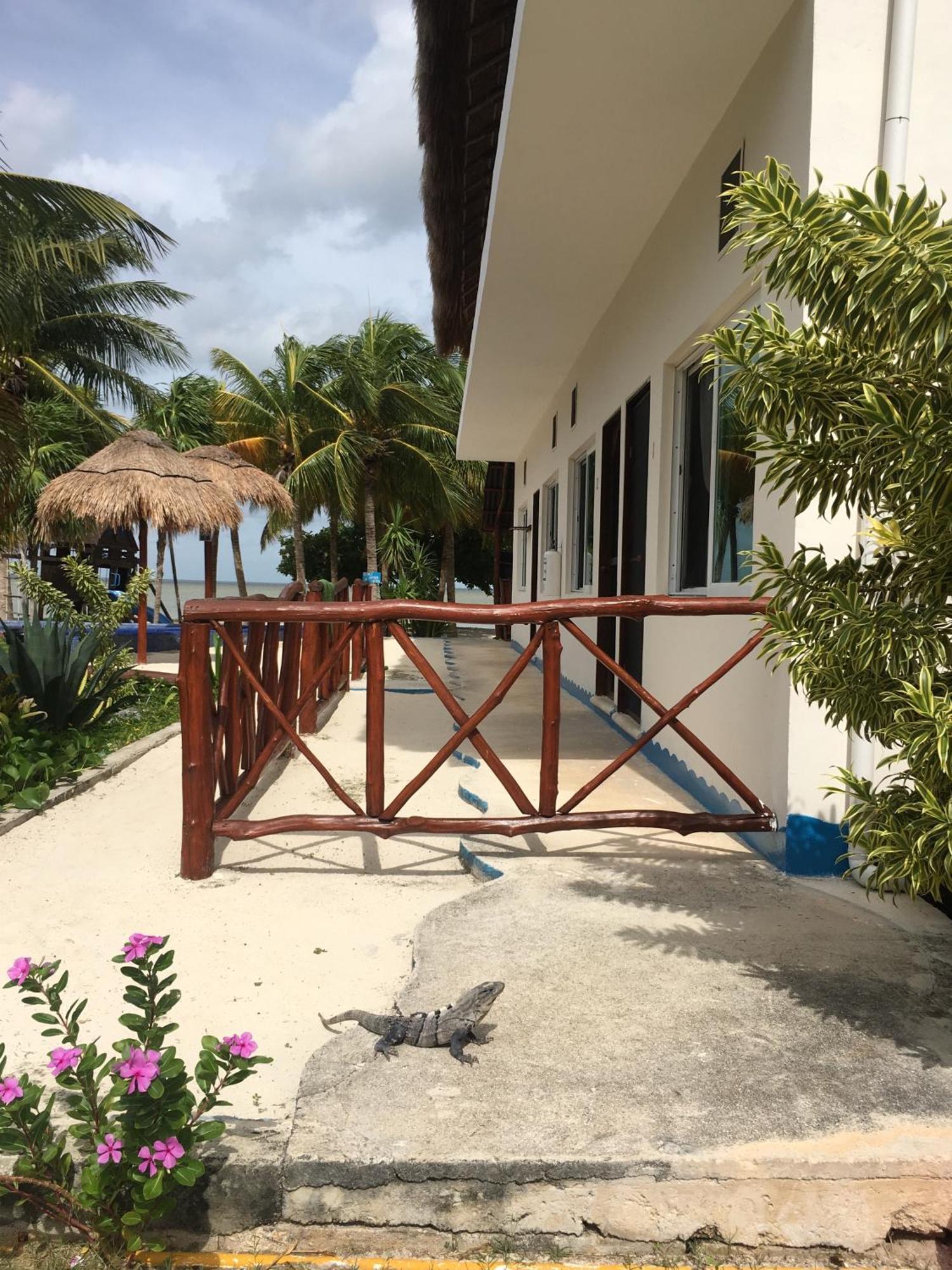 Ikarus Costa Mujeres Eco Lodge Sunset View Cancún Eksteriør bilde